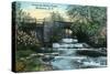 Rochester, New York - Allen's Creek Scene-Lantern Press-Stretched Canvas