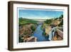 Rochester, NY - Genesee River Gorge, Park Avenue Bridge, Lower Falls View-Lantern Press-Framed Art Print