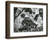 Rock and Pebbles, 1970-Brett Weston-Framed Photographic Print