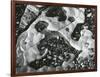 Rock and Pebbles, 1970-Brett Weston-Framed Photographic Print