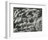 Rock and Pebbles, c.1950-Brett Weston-Framed Photographic Print