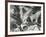 Rock and Pebbles, c.1955-Brett Weston-Framed Photographic Print