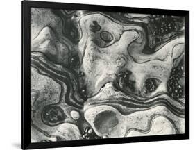 Rock and Pebbles, c.1955-Brett Weston-Framed Photographic Print