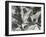 Rock and Pebbles, c.1955-Brett Weston-Framed Premium Photographic Print