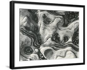 Rock and Pebbles, c.1955-Brett Weston-Framed Photographic Print