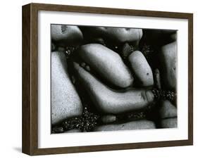 Rock and Pebbles, c. 1965-Brett Weston-Framed Premium Photographic Print