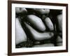 Rock and Pebbles, c. 1965-Brett Weston-Framed Photographic Print