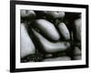 Rock and Pebbles, c. 1965-Brett Weston-Framed Photographic Print