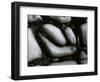 Rock and Pebbles, c. 1965-Brett Weston-Framed Photographic Print