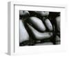 Rock and Pebbles, c. 1965-Brett Weston-Framed Photographic Print