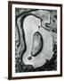 Rock and Pebbles, California, 1959-Brett Weston-Framed Photographic Print