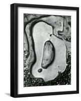 Rock and Pebbles, California, 1959-Brett Weston-Framed Photographic Print