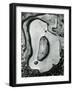 Rock and Pebbles, California, 1959-Brett Weston-Framed Photographic Print