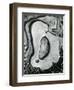 Rock and Pebbles, California, 1959-Brett Weston-Framed Photographic Print