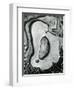 Rock and Pebbles, California, 1959-Brett Weston-Framed Photographic Print