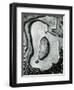 Rock and Pebbles, California, 1959-Brett Weston-Framed Premium Photographic Print