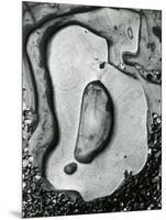 Rock and Pebbles, California, 1959-Brett Weston-Mounted Photographic Print