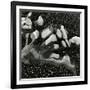 Rock and Pebbles, Pebble Beach, California, 1976-Brett Weston-Framed Photographic Print