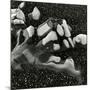 Rock and Pebbles, Pebble Beach, California, 1976-Brett Weston-Mounted Photographic Print