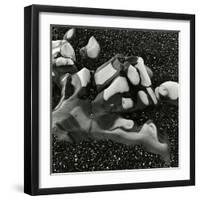 Rock and Pebbles, Pebble Beach, California, 1976-Brett Weston-Framed Photographic Print