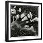 Rock and Pebbles, Pebble Beach, California, 1976-Brett Weston-Framed Photographic Print