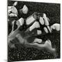 Rock and Pebbles, Pebble Beach, California, 1976-Brett Weston-Mounted Photographic Print