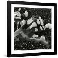 Rock and Pebbles, Pebble Beach, California, 1976-Brett Weston-Framed Photographic Print