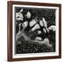 Rock and Pebbles, Pebble Beach, California, 1976-Brett Weston-Framed Photographic Print