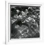 Rock and Pebbles, Pebble Beach, California, c. 1968-Brett Weston-Framed Photographic Print