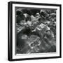 Rock and Pebbles, Pebble Beach, California, c. 1968-Brett Weston-Framed Photographic Print