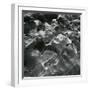 Rock and Pebbles, Pebble Beach, California, c. 1968-Brett Weston-Framed Photographic Print