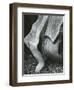 Rock and Pebbles, Point Lobos, California, 1970-Brett Weston-Framed Photographic Print