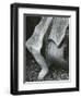 Rock and Pebbles, Point Lobos, California, 1970-Brett Weston-Framed Photographic Print