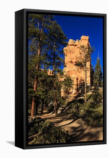 Rock and Pine Trees Lit by Early Morning Sun in Winter-Eleanor-Framed Stretched Canvas