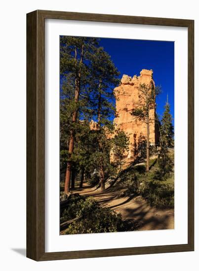 Rock and Pine Trees Lit by Early Morning Sun in Winter-Eleanor-Framed Photographic Print