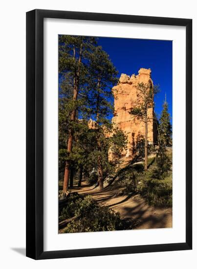 Rock and Pine Trees Lit by Early Morning Sun in Winter-Eleanor-Framed Photographic Print