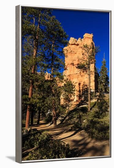 Rock and Pine Trees Lit by Early Morning Sun in Winter-Eleanor-Framed Photographic Print