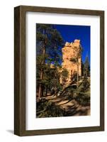 Rock and Pine Trees Lit by Early Morning Sun in Winter-Eleanor-Framed Photographic Print