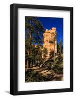 Rock and Pine Trees Lit by Early Morning Sun in Winter-Eleanor-Framed Photographic Print