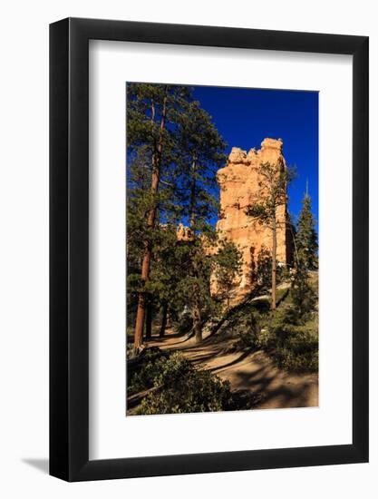 Rock and Pine Trees Lit by Early Morning Sun in Winter-Eleanor-Framed Photographic Print