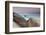 Rock and Sea Praia Da Joaquina Beach in Santa Catarina State at Sunrise-Alex Saberi-Framed Photographic Print