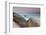 Rock and Sea Praia Da Joaquina Beach in Santa Catarina State at Sunrise-Alex Saberi-Framed Photographic Print