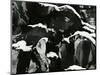 Rock and Snow, Oregon, 1968-Brett Weston-Mounted Photographic Print