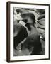 Rock and Water, Point Lobos, California, 1934-Brett Weston-Framed Photographic Print