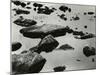 Rock and Water, Scotland, 1960-Brett Weston-Mounted Photographic Print