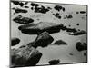 Rock and Water, Scotland, 1960-Brett Weston-Mounted Photographic Print