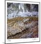 Rock and Water-Ken Bremer-Mounted Limited Edition