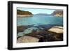 Rock and Weed in Harbour at Gasvaer, Kvalfjord, Troms, North Norway, Norway, Scandinavia, Europe-David Lomax-Framed Photographic Print