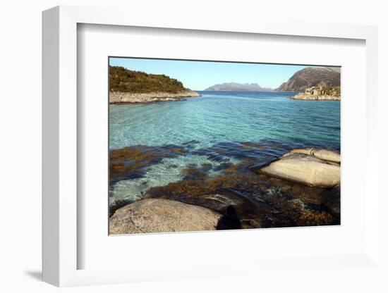 Rock and Weed in Harbour at Gasvaer, Kvalfjord, Troms, North Norway, Norway, Scandinavia, Europe-David Lomax-Framed Photographic Print