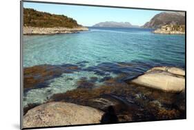 Rock and Weed in Harbour at Gasvaer, Kvalfjord, Troms, North Norway, Norway, Scandinavia, Europe-David Lomax-Mounted Photographic Print